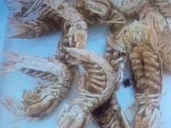 -望海潮海鲜店 特色家常菜(在海一方店)