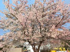 -红星美凯龙北京至尊MALL(东四环中路店)