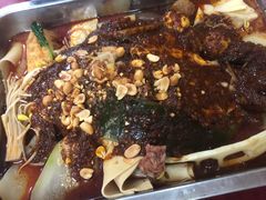 -金张掖麻辣烫(凤城一路店)