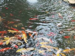 -南通洲际绿博园