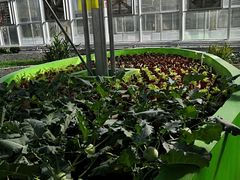 -北戴河集发农业梦想王国