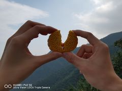 -阳台山自然风景区