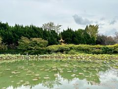 -嘉定紫藤园