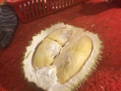 -都念榴莲·城市榴莲