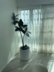 -HEYAN荷妍专业脱毛连锁机构