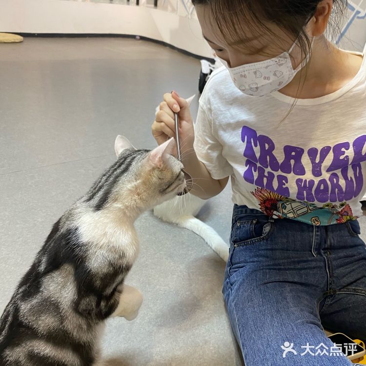 这是温州隐藏猫咖吗？！