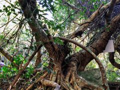 -七仙岭温泉国家森林公园