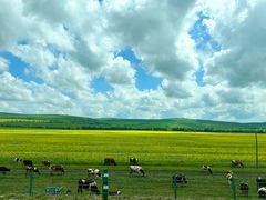 -莫日格勒旅游景区
