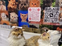 -郑州国际会展中心
