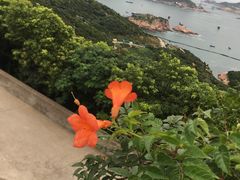 -枸杞岛