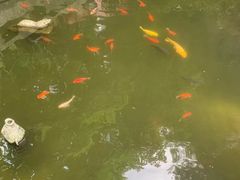 -安溪清水岩