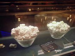 -猫咪博物馆(顶澳仔猫街店)