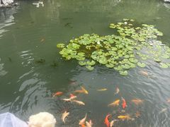 -航天馒头(瞻园路店)