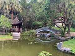 -深圳国际园林花卉博览园