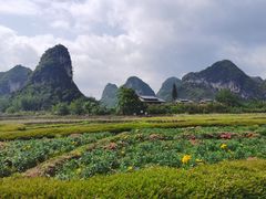 -靖西鹅泉风景区