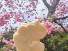 -昆明动物园