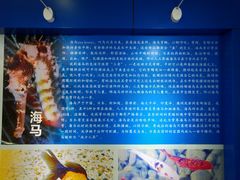 -上海海洋大学鱼文化博物馆(军工路校区)