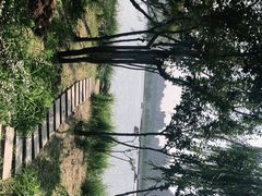 -廊坊文化艺术中心