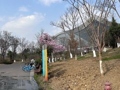 -桂溪生态公园