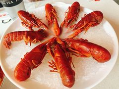 -红盔甲·小龙虾(天钥桥店)
