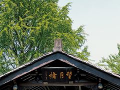 -绍兴镜湖国家城市湿地公园