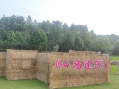 -黄陂区野村谷景区
