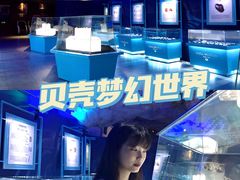 -贝壳梦幻世界