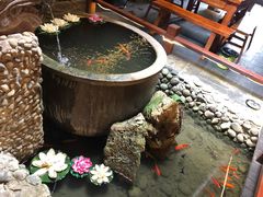 -三道苗苗鱼·美蛙黄辣丁(八里店)
