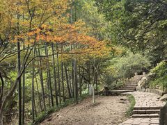-莫干山风景区