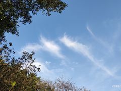 -怡海公园(桂城街道)