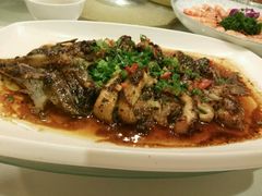 -中发源·清真餐厅(春风店)