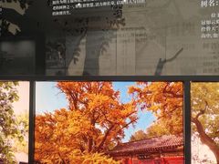 -晋祠博物馆