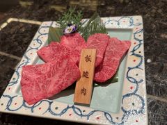-老乾杯(深圳湾万象城店)