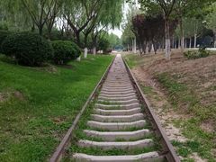 -永定河休闲森林公园