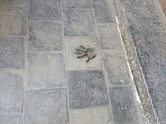-窦大夫祠