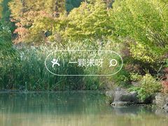 -习家池