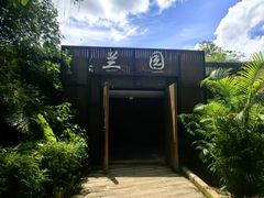 -野象谷景区