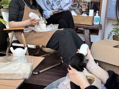 -有猫主题·治愈系猫咖(曾厝垵店)