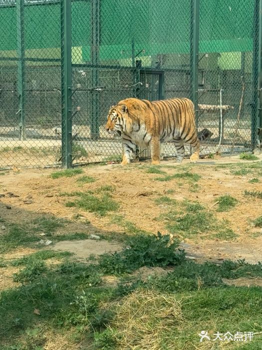 郑州市动物园图片