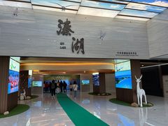 -溱湖国家湿地公园