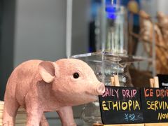 -WHEN PIGS FLY当猪飞