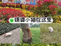 -广州珠江公园