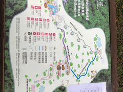 -野象谷景区