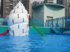 -海合安成都极地海洋公园