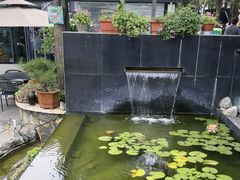 -蘇河湾·新鲁菜·泰山宴(泰山店)