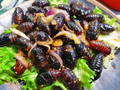 蚕蛹-江合勇丹东兄弟小串海鲜烧烤(总店)