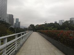 -皇庭广场(福华三路店)