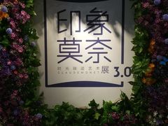 -印象莫奈时光映迹艺术展