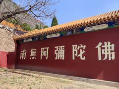-遵化市禅林寺古银杏风景园
