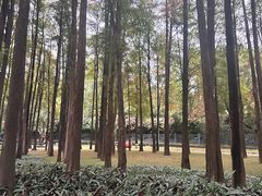 -云溪植物园